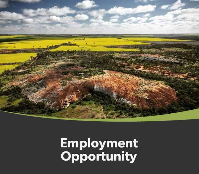 Aerial view of a vibrant landscape with yellow fields and a rocky outcrop, captioned "employment opportunity.